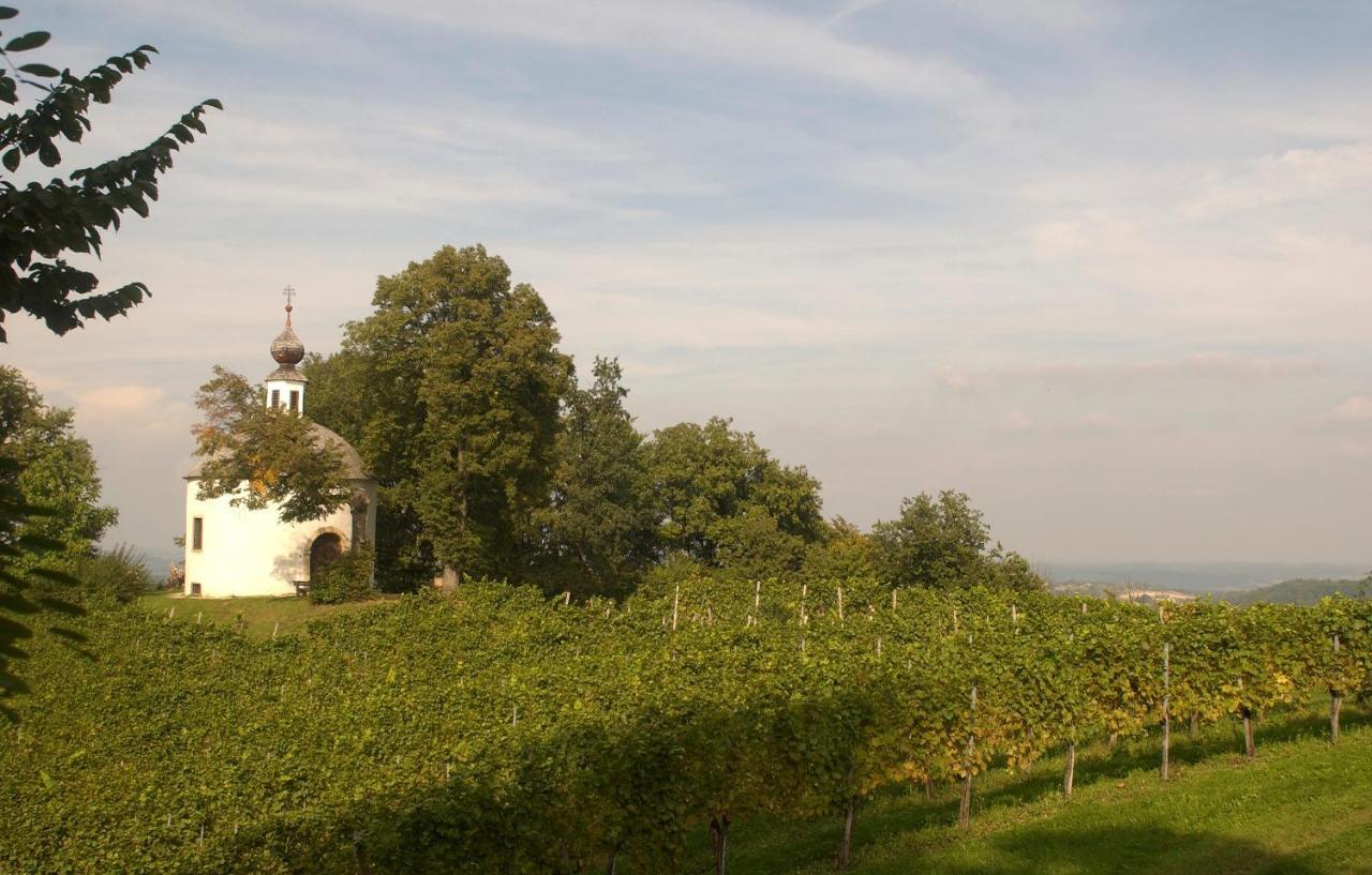 Schloss Kapfenstein Экстерьер фото