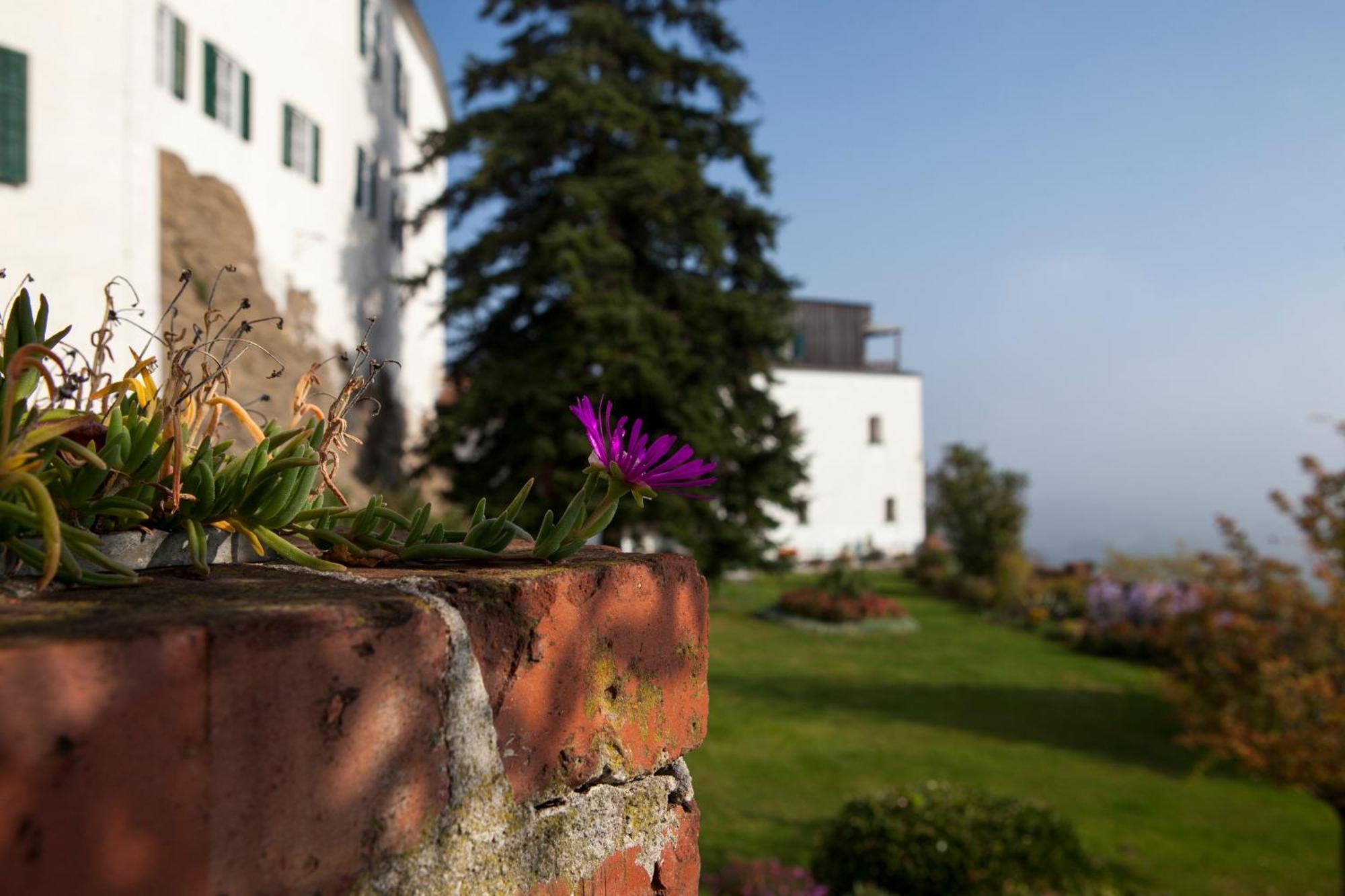 Schloss Kapfenstein Экстерьер фото